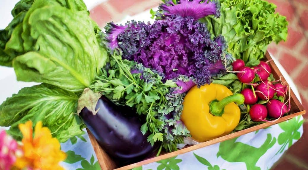 best vegetables to grow indoors
