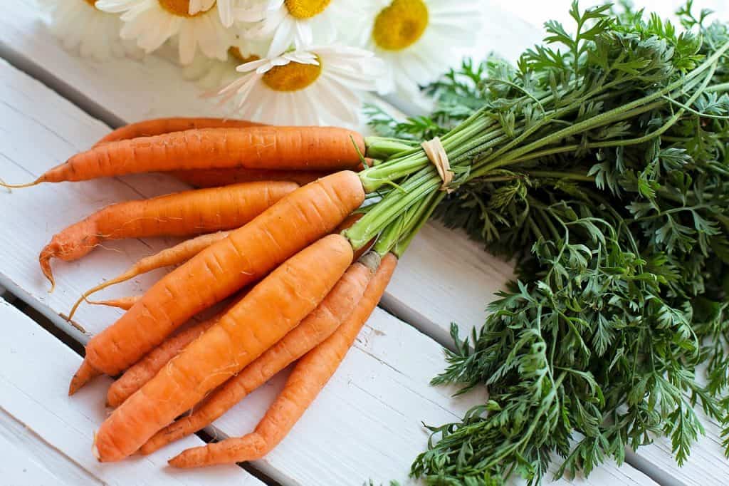 grow carrots indoors