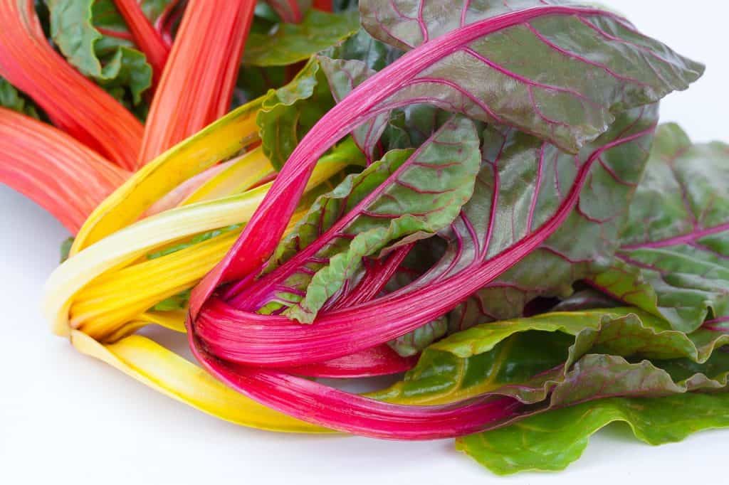 grow chard indoors