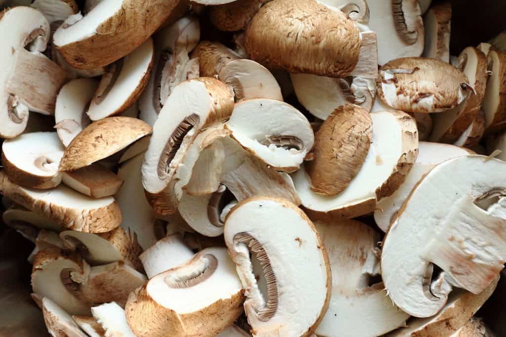 grow mushrooms indoors