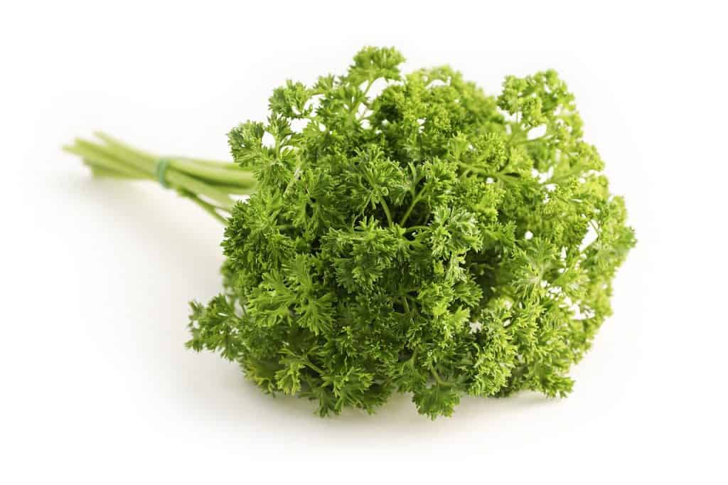 grow parsley indoors