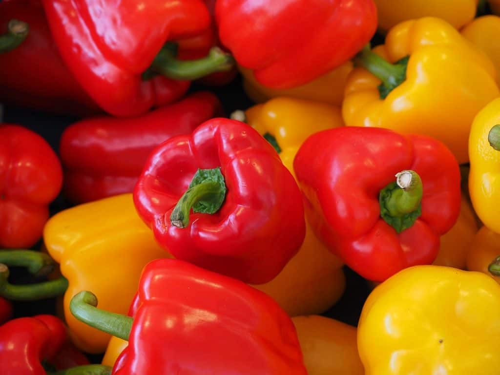 grow peppers indoors