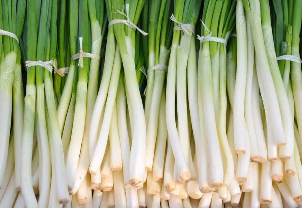 grow scallions indoors