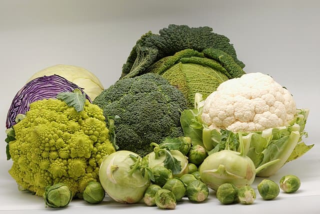 Broccoli is from the family Brassica oleracea