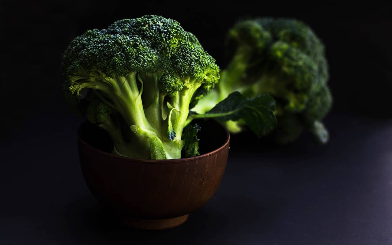 our-guide-to-starting-broccoli-indoors-the-indoor-gardener