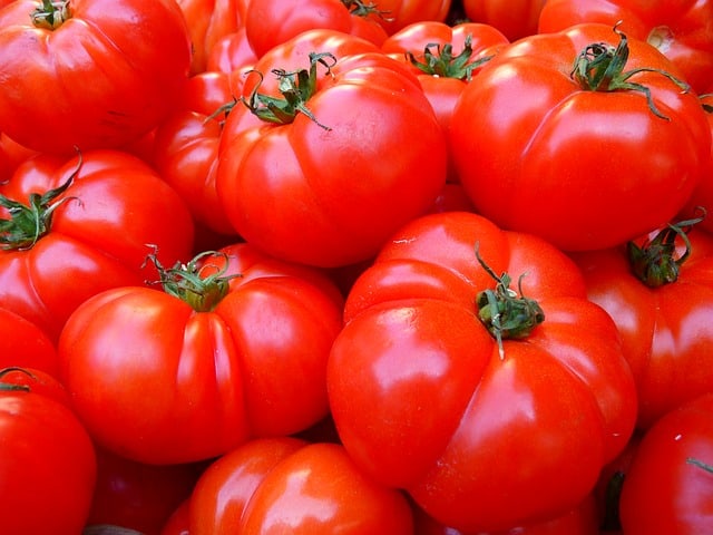 Growing Organic Tomatoes Indoors
