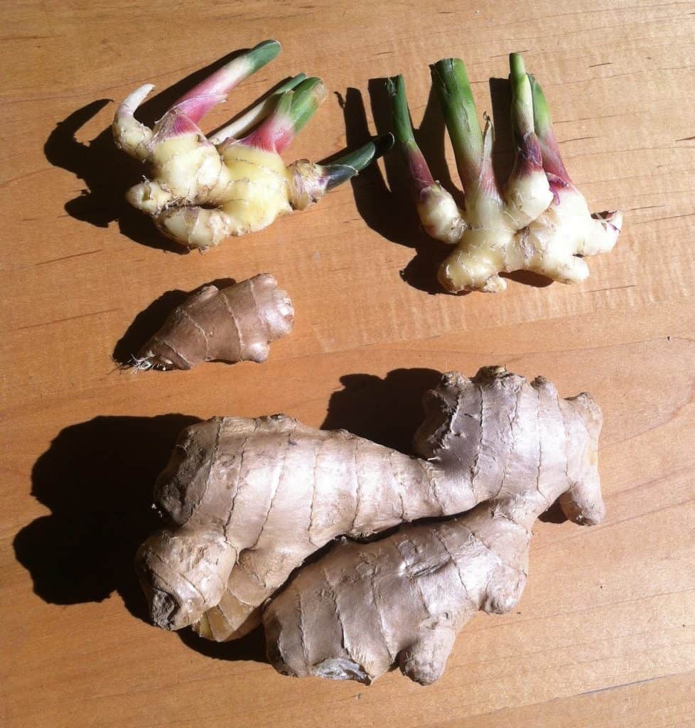 ginger root