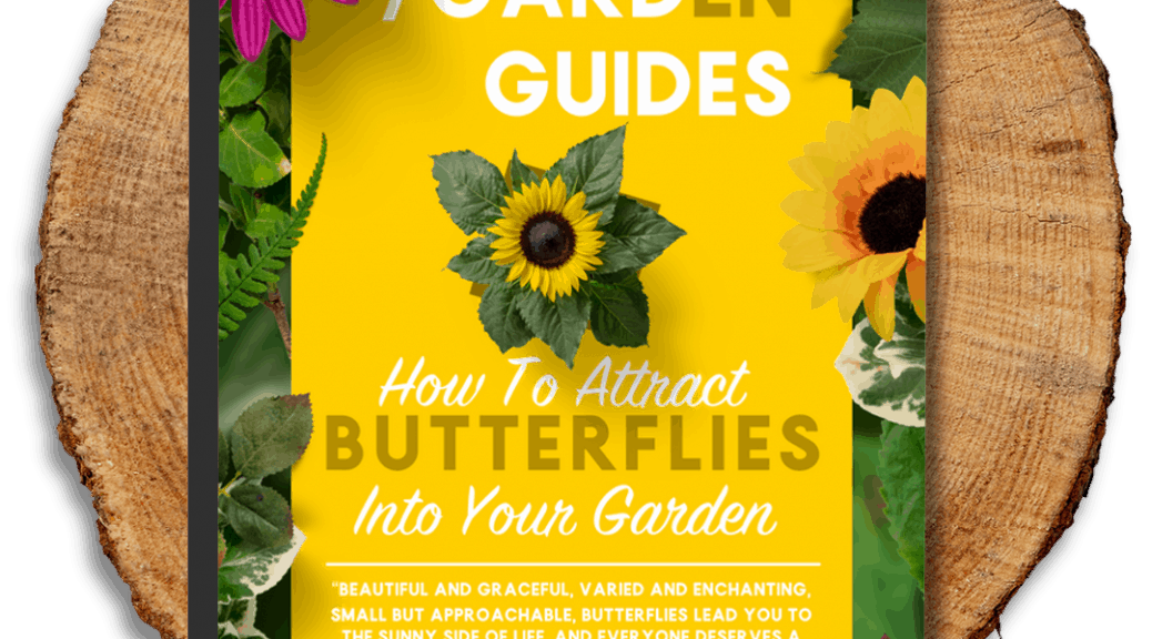 TheIndoorGardener.ca - How to Attract Butterflies into Your Garden
