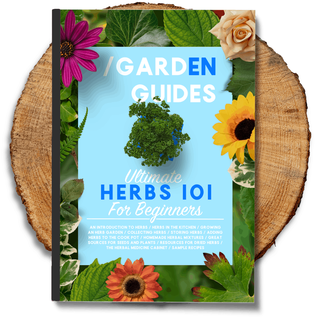 ultimate-herbs-101-for-beginners-the-indoor-gardener